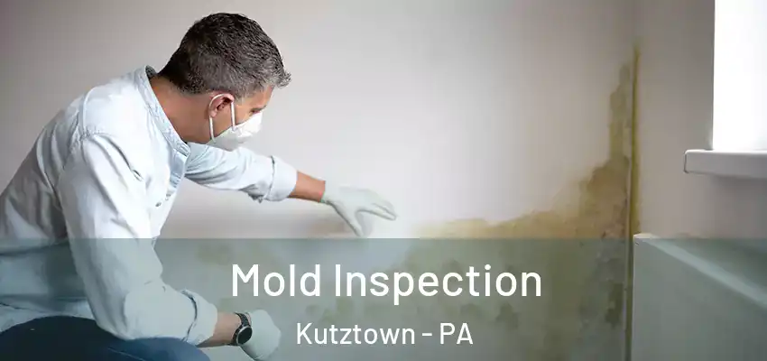  Mold Inspection Kutztown - PA
