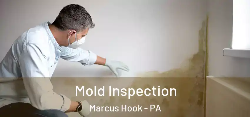 Mold Inspection Marcus Hook - PA