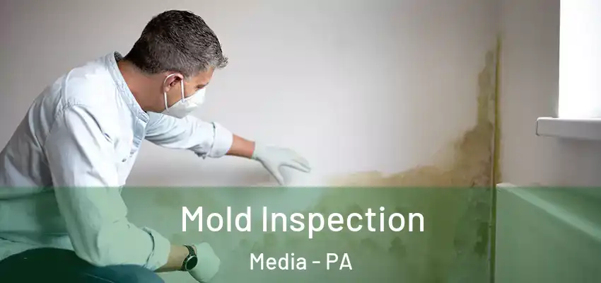  Mold Inspection Media - PA
