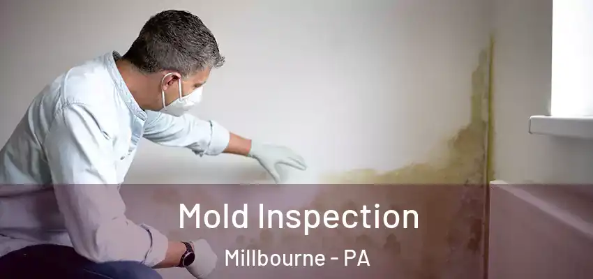  Mold Inspection Millbourne - PA