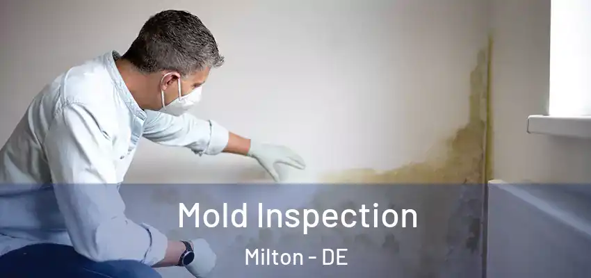 Mold Inspection Milton - DE