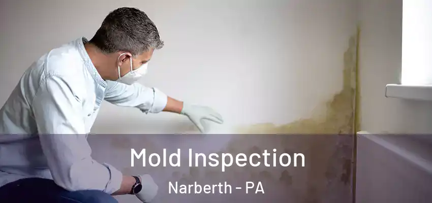 Mold Inspection Narberth - PA