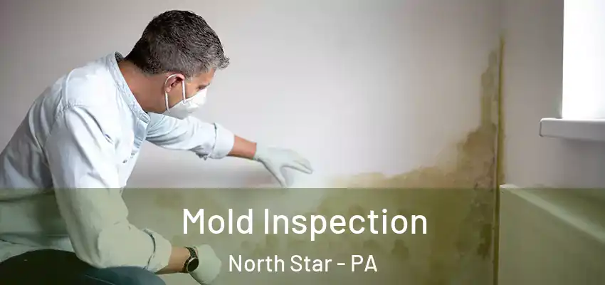 Mold Inspection North Star - PA