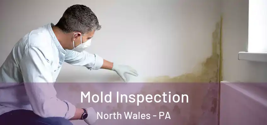 Mold Inspection North Wales - PA