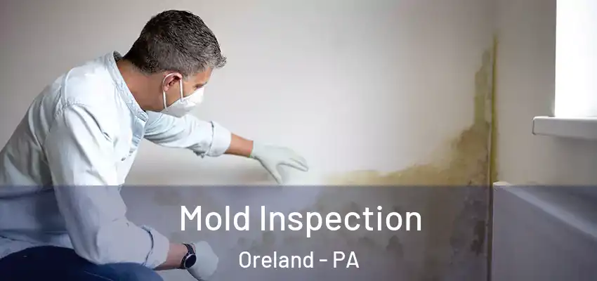  Mold Inspection Oreland - PA