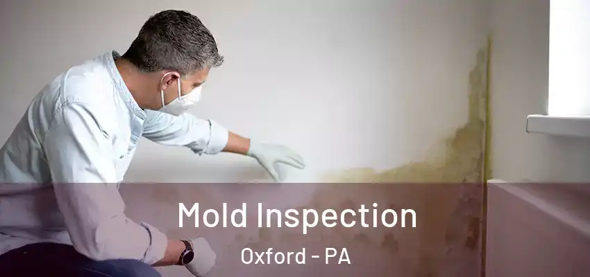  Mold Inspection Oxford - PA