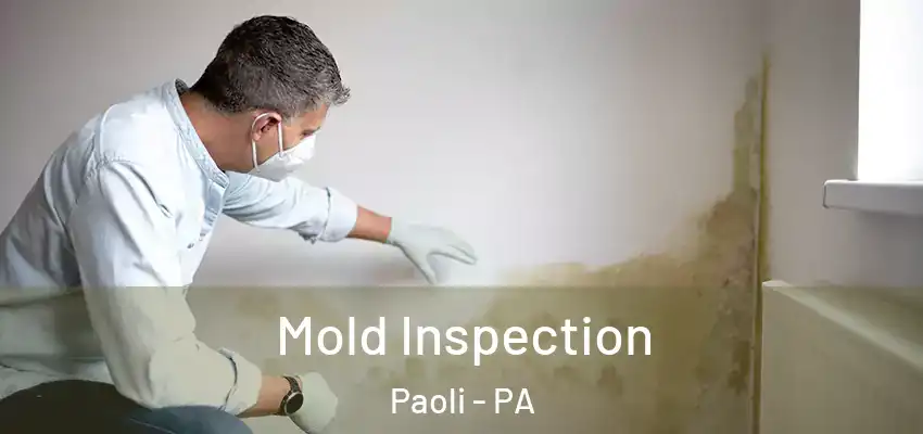 Mold Inspection Paoli - PA