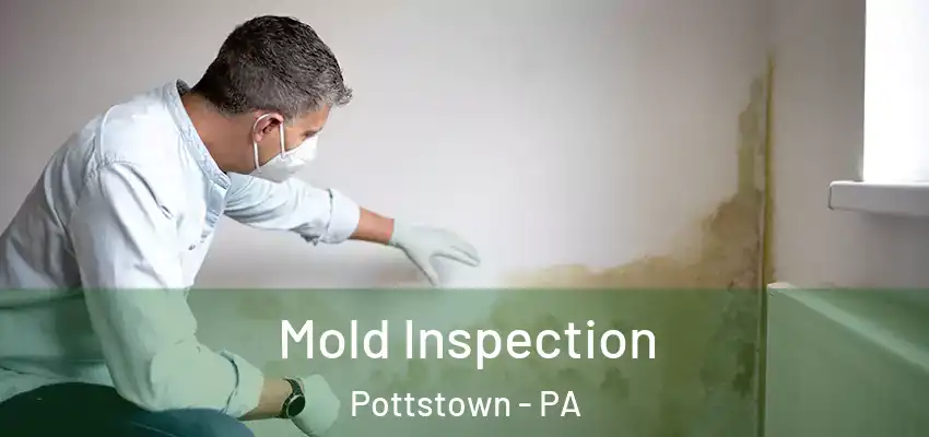 Mold Inspection Pottstown - PA