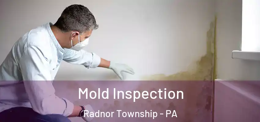  Mold Inspection Radnor Township - PA
