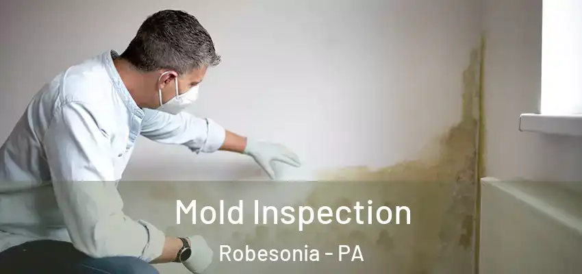  Mold Inspection Robesonia - PA
