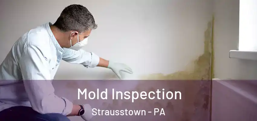 Mold Inspection Strausstown - PA