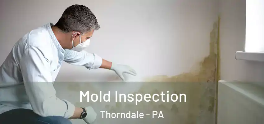  Mold Inspection Thorndale - PA