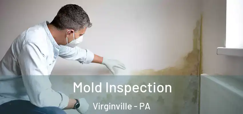 Mold Inspection Virginville - PA