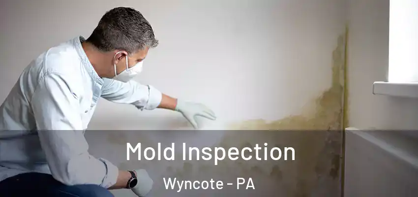 Mold Inspection Wyncote - PA