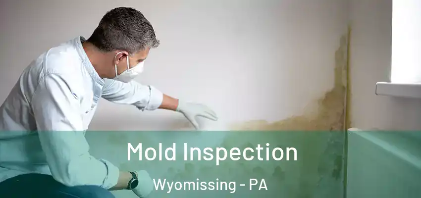 Mold Inspection Wyomissing - PA