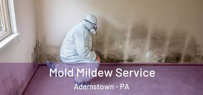 Mold Mildew Service Adamstown - PA