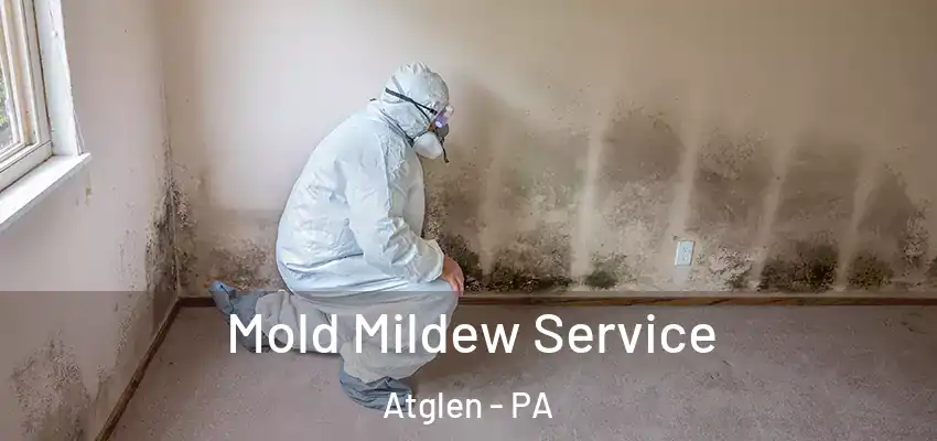 Mold Mildew Service Atglen - PA