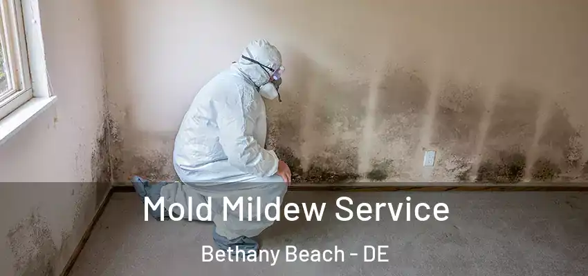  Mold Mildew Service Bethany Beach - DE