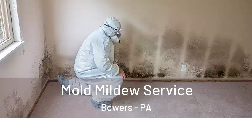 Mold Mildew Service Bowers - PA