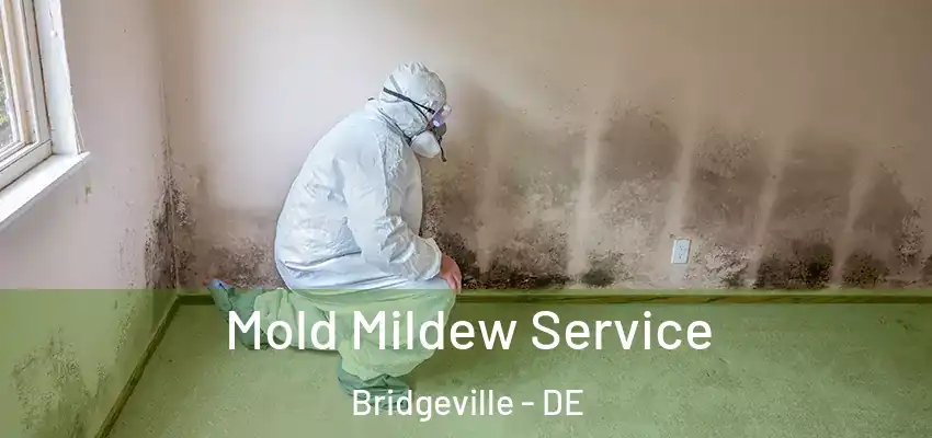 Mold Mildew Service Bridgeville - DE