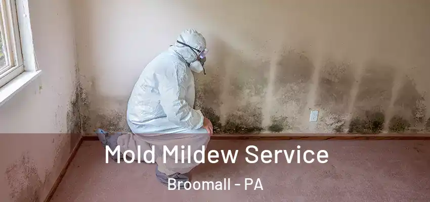 Mold Mildew Service Broomall - PA