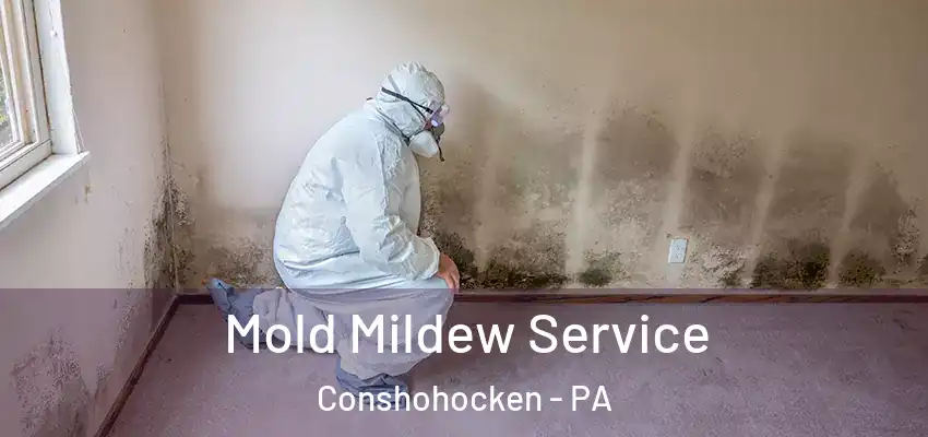  Mold Mildew Service Conshohocken - PA