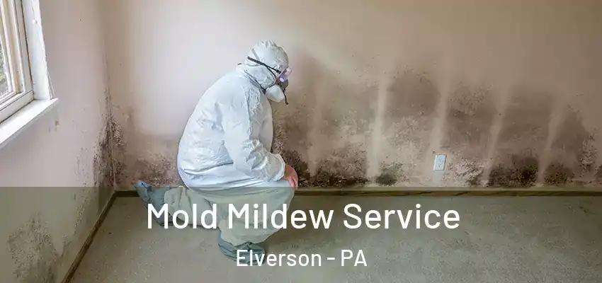 Mold Mildew Service Elverson - PA