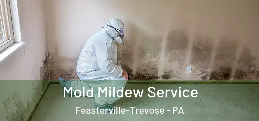  Mold Mildew Service Feasterville-Trevose - PA