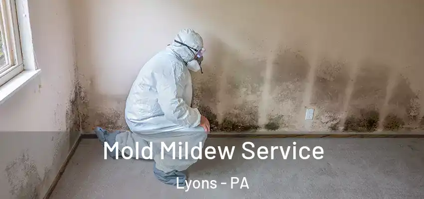 Mold Mildew Service Lyons - PA