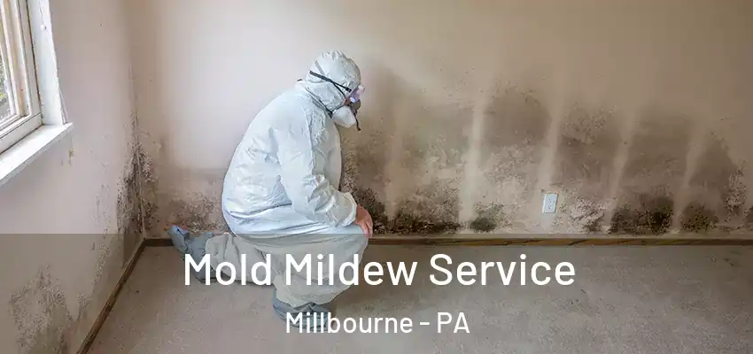  Mold Mildew Service Millbourne - PA