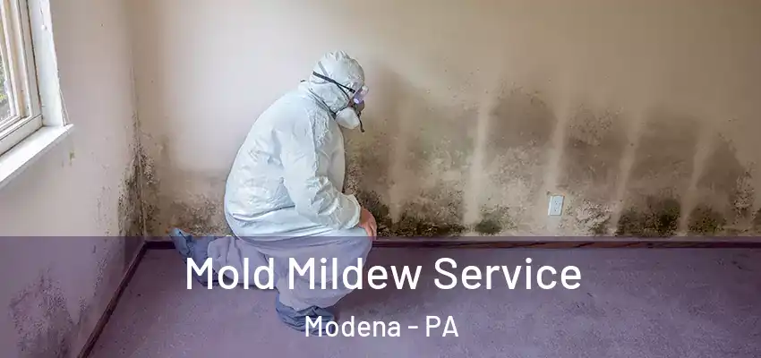  Mold Mildew Service Modena - PA