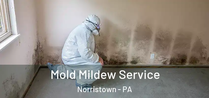  Mold Mildew Service Norristown - PA