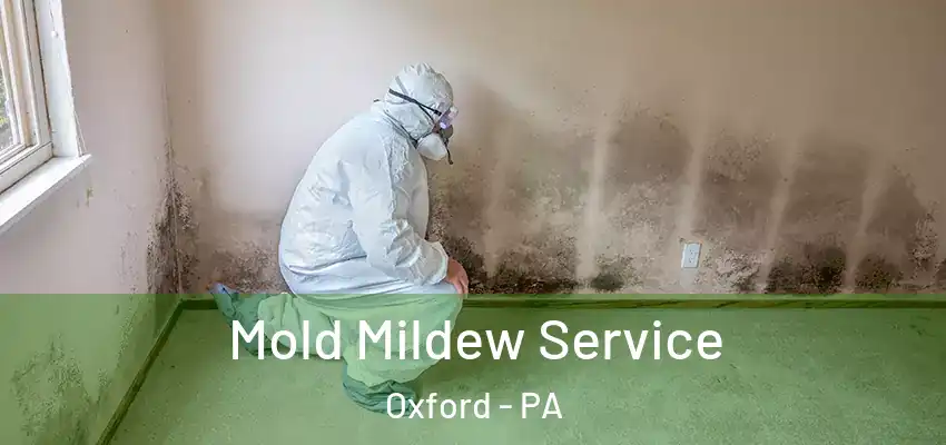 Mold Mildew Service Oxford - PA