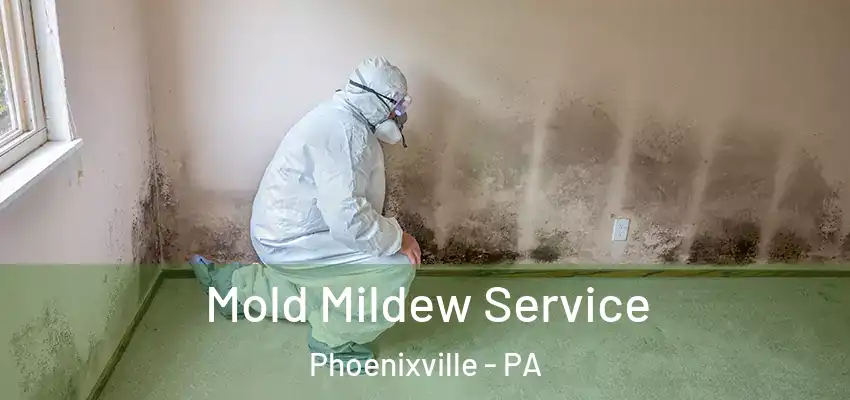 Mold Mildew Service Phoenixville - PA