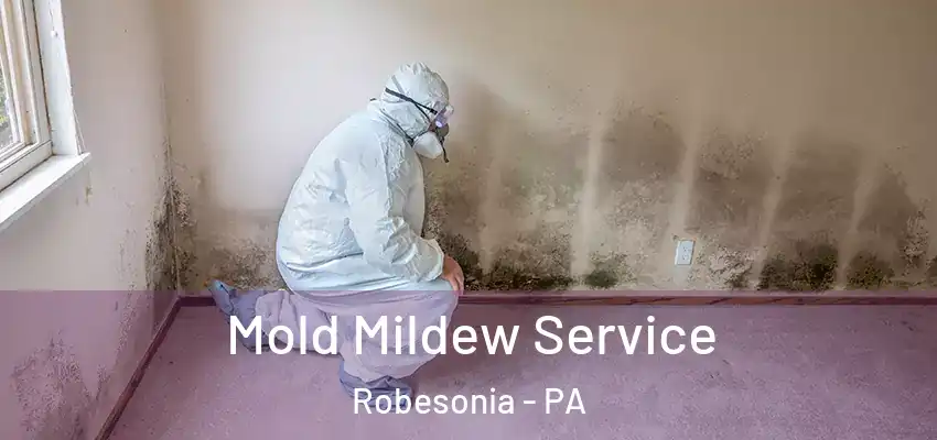  Mold Mildew Service Robesonia - PA