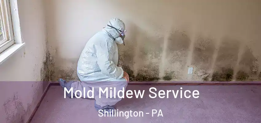 Mold Mildew Service Shillington - PA