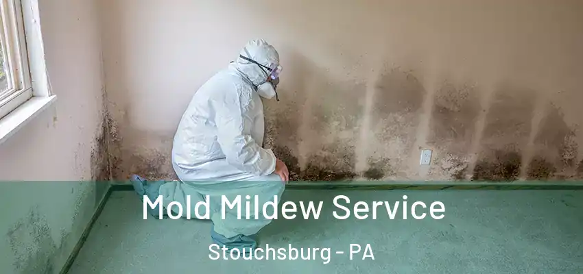 Mold Mildew Service Stouchsburg - PA