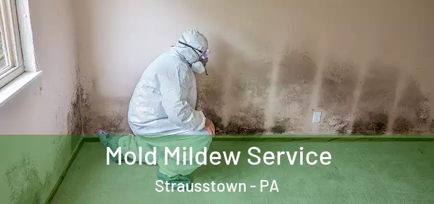 Mold Mildew Service Strausstown - PA