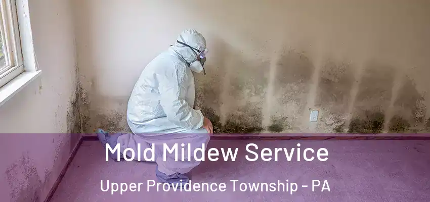 Mold Mildew Service Upper Providence Township - PA