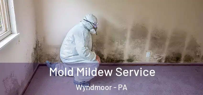 Mold Mildew Service Wyndmoor - PA
