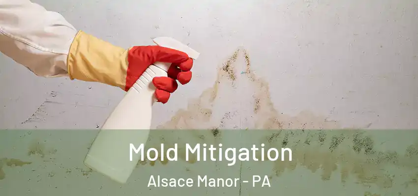 Mold Mitigation Alsace Manor - PA