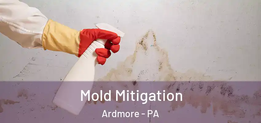 Mold Mitigation Ardmore - PA