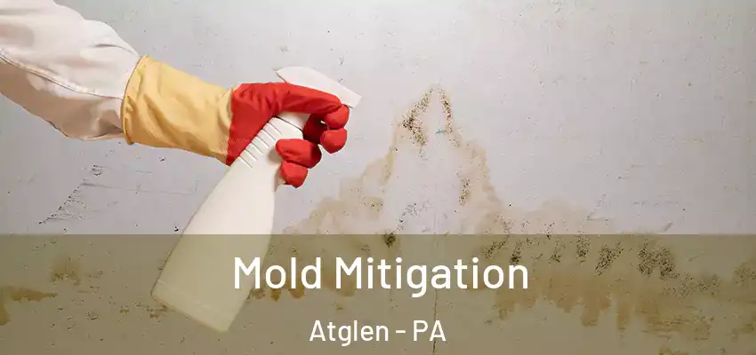 Mold Mitigation Atglen - PA