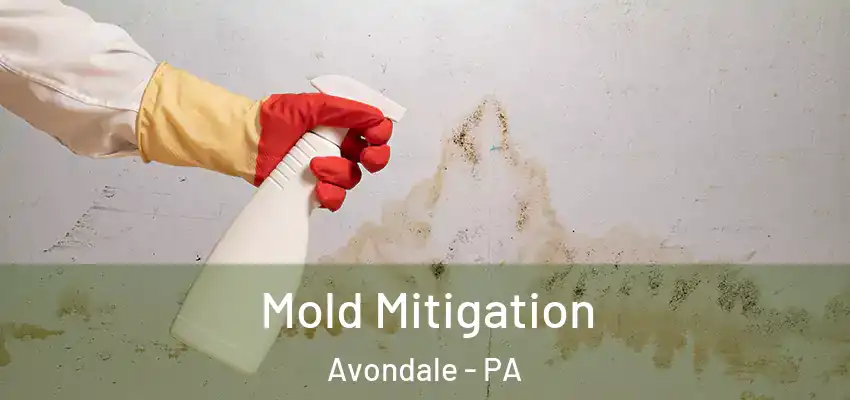 Mold Mitigation Avondale - PA