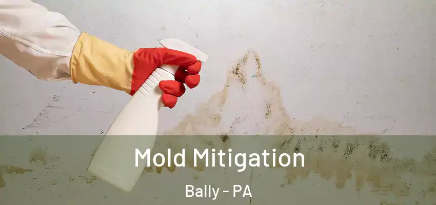 Mold Mitigation Bally - PA