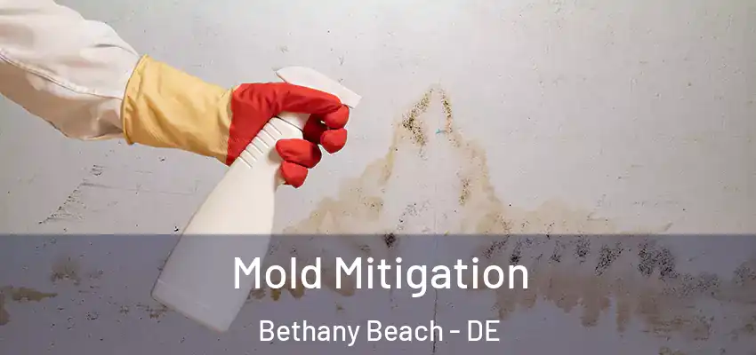 Mold Mitigation Bethany Beach - DE