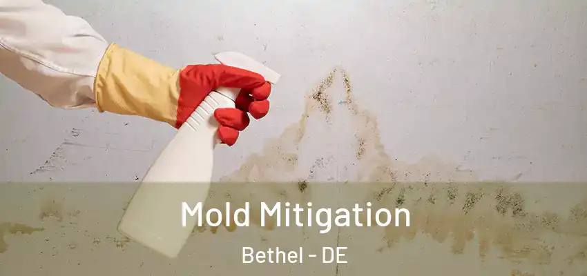Mold Mitigation Bethel - DE