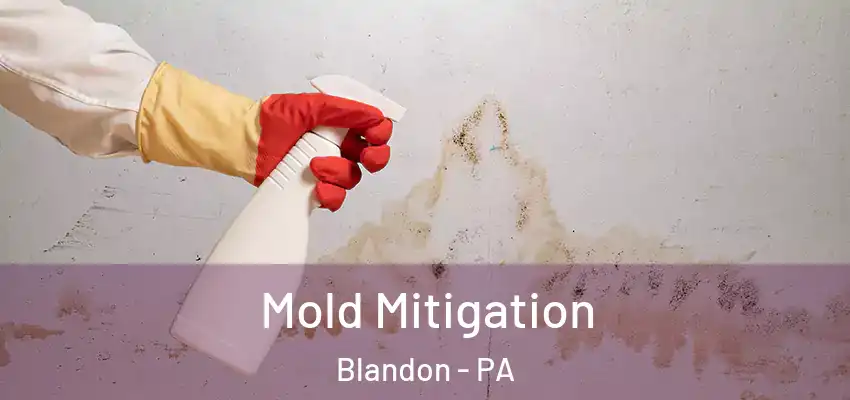 Mold Mitigation Blandon - PA