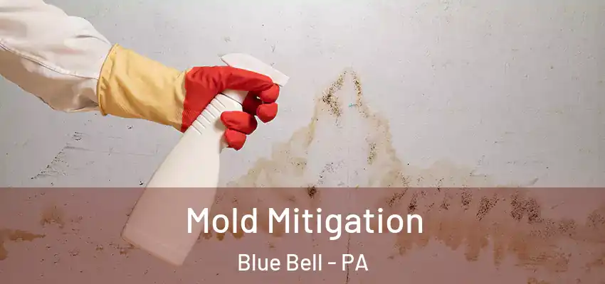 Mold Mitigation Blue Bell - PA