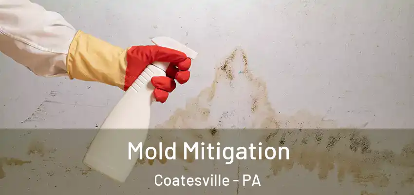 Mold Mitigation Coatesville - PA